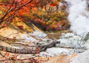 非誠勿擾-北海道釧路阿寒湖富良野賞花6日