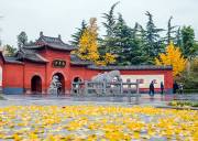 洛陽+白馬寺+龍門石窟+少林寺-雙臥四日臥高3日